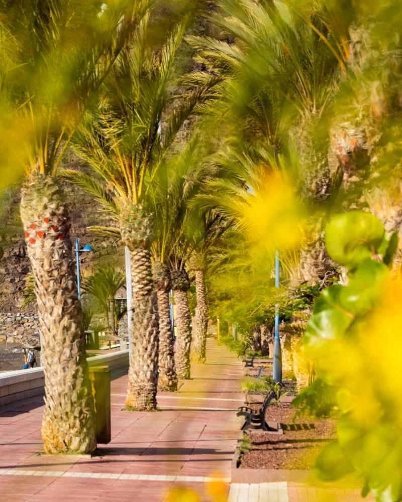 דירות San Sebastián de la Gomera El Balcon De Colon מראה חיצוני תמונה